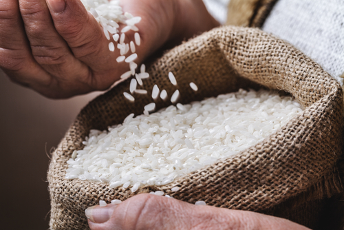 Proteín z ryže je hypoalergénny a výborne ho znášajú i deti.
