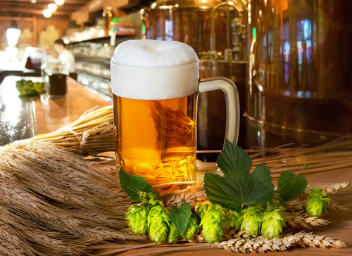 Kým sa pivo do roku 1487 nevyrábalo z chmeľu ale z bylín, posilňovalo mužnosť.