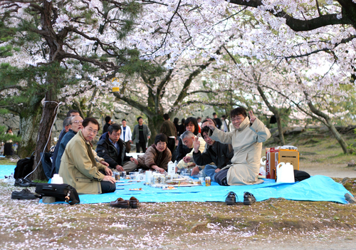 Lesné kúpele majú v Japonsku dlhoročnú tradíciu.