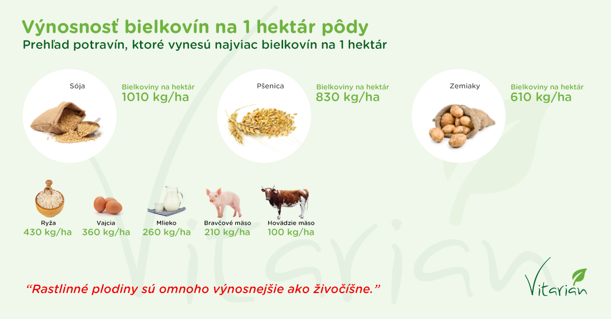 Infografika - Výnosnosť bielkovín na 1 hektár pôdy