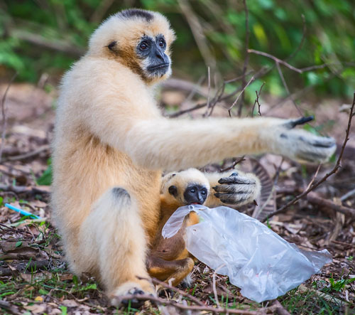 Plytvanie plastami je tiež vec, nad ktorou by sa mal zamyslieť každý. Ak ste tak ešte nikdy neurobili, urobte tak teraz a zmeňte svoj prístup k veciam, ktoré sú síce zadarmo alebo veľmi lacné, ale nerozložiteľné...