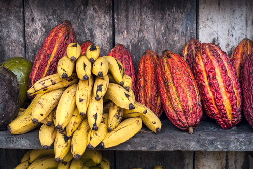 Banány a kakao sú vynikajúcim zdrojom horčíka.