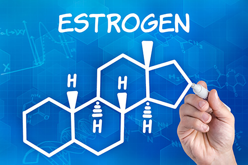 Estrogén je jedným zo základných ženských pohlavných hormónom, ktorý ovplyvňuje vývoj ženského tela. V malom množstve ho však možno nájsť i v mužskom tele.