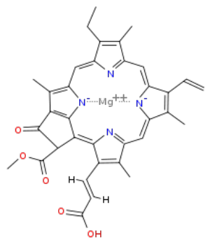 Chlorofyl C1