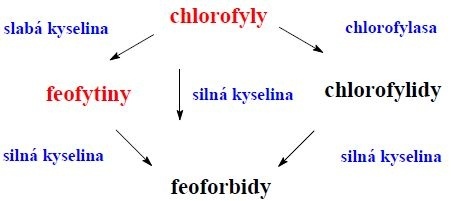 Spracovanie chlorofylu