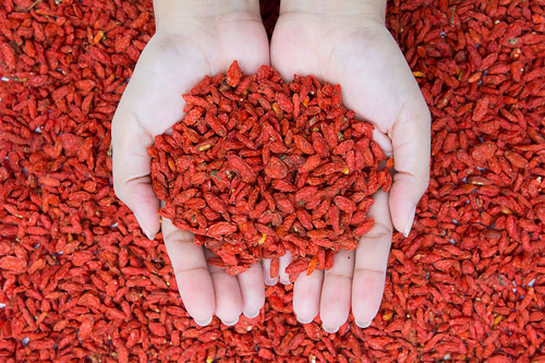 Goji