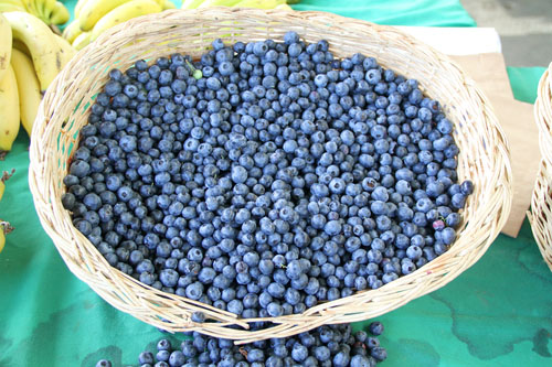 Açai: pradávny amazonský antioxidant