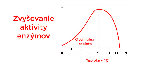 Aktivita enzýmov s teplotou postupne stúpa, no po 40°C rýchlo klesá.