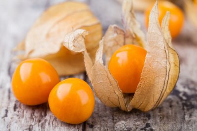 Machovka peruánska (Physalis peruviana)