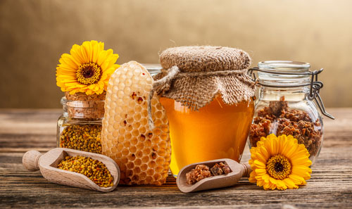 Včelie produkty: med, peľ, propolis a plást.