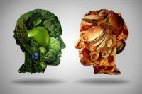 Správna výživa mozgu