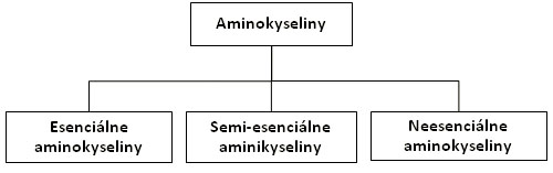 Rozdelenie aminokyselín.