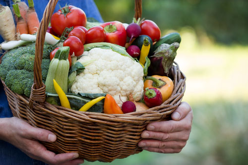 Zimná zelenina je napríklad karfiol, brokolica, mrkva, cvikla, zeler, kapusta a kel.
