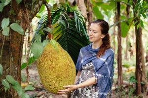 Chlebovník (Jackfruit) - Najväčšie ovocie na svete