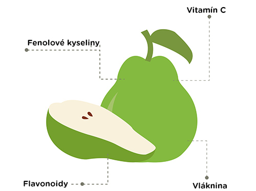 Hruška obsahuje množstvo vzácnych flavonoidov.