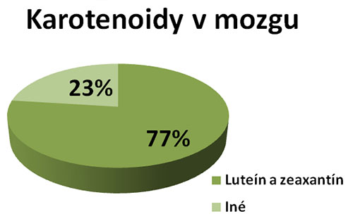 Luteín a zeaxantín sa sústreďujú v mozgovom tkanive a ovplyvňujú naše myslenie a učenie sa.