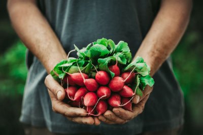 Vitamín B12: vegetariáni a vegáni