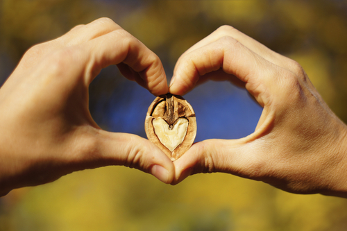 Už malé množstvo vlašských orechov denne poskytuje ochranu srdcovocievnemu systému.