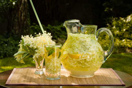 Bazová limonáda je oveľa zdravšia ako bazový sirup, pretože neobsahuje žiadny biely cukor.