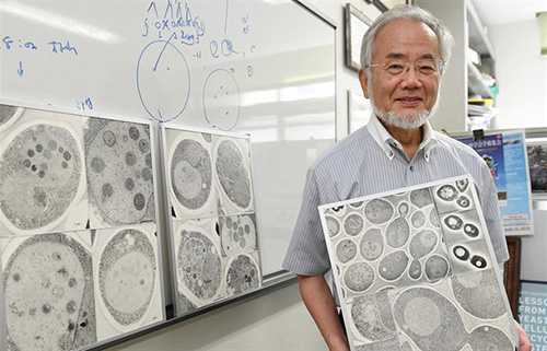 Držiteľ Nobelovej ceny za medicínu, japonský vedec Jošinuri Ósumi.