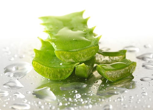 Detox s aloe vera 