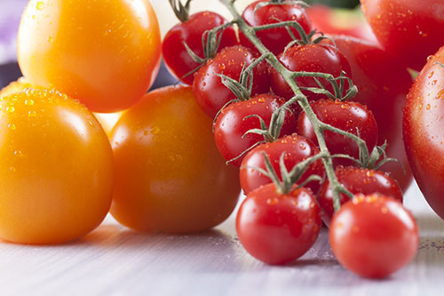 Zdravé paradajky