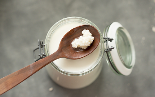 S probiotikami si môžete vyrobiť dokonca čerstvé rastlinné jogurty napríklad z kokosu, semienok alebo orechov. 