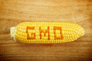 Geneticky modifikované organizmy (GMO) 1. časť