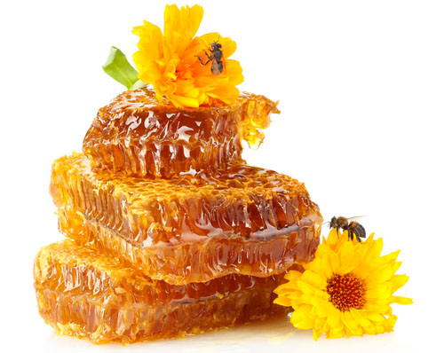 Med je najbohatším prírodným zdrojom živých liečivých enzýmov, zvyšuje reflexy, duševnú bdelosť a dokonca aj IQ!