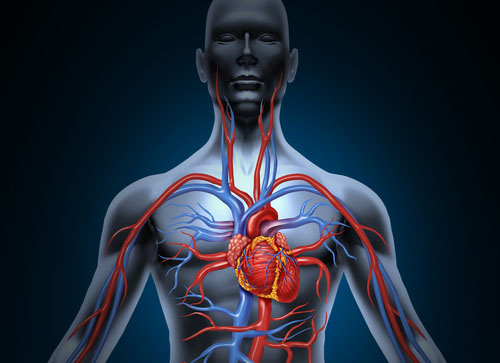 Pri srdcovej arytmii dochádza k rozladenej koordinácii predsiení a komôr - k nepravidelnému tlkotu srdca.