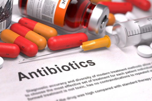 Baktérie sa stávajú voči antibiotikám odolné. Je to kvôli ich zbytočnému používaniu, neriešenia pravej príčiny choroby, ale aj kvôli živočíšnym potravinám zo zvierat odchovaných na antibiotikách.