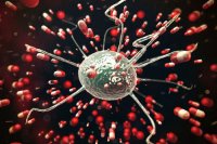 Rezistentné baktérie skoro nebezpečnejšie než rakovina