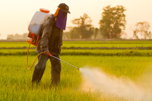 Poľnohospodári prichádzajú do kontaktu s pesticídmi najčastejšie.