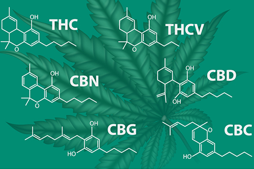 Rozdiely CBD a CBG