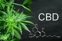 Zázrak z marihuany menom CBD