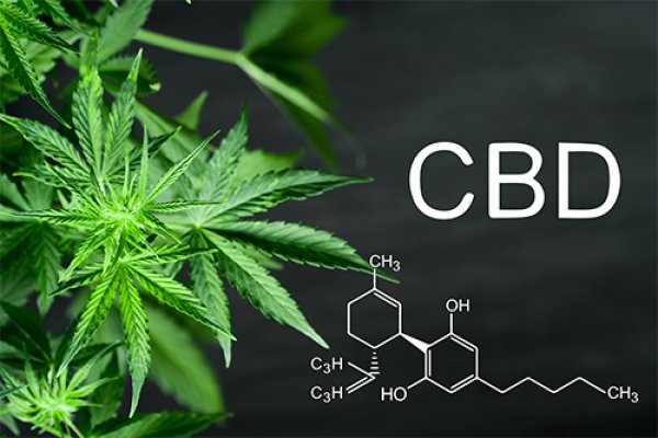 Zázrak z marihuany menom CBD