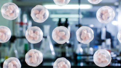 Liposomálne vitamíny: keď sa výživa stretáva s bunkovou biológiou