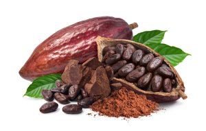 Benefity konzumácie kakaových bôbov, kakaa a čokolády