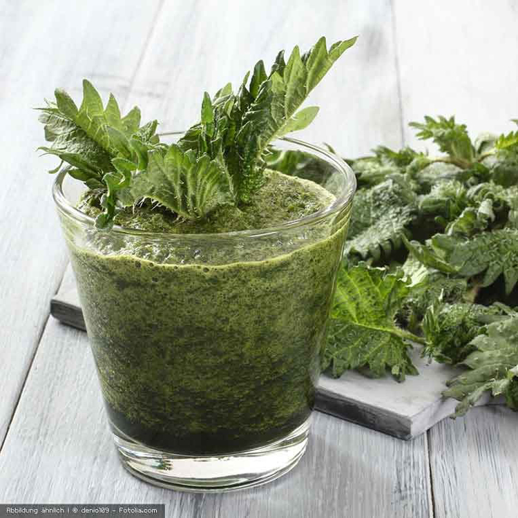 Vitamix Super PRO 750 - použitý