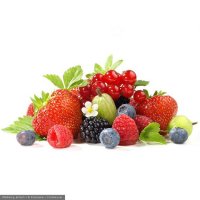 Regulatpro® Bio