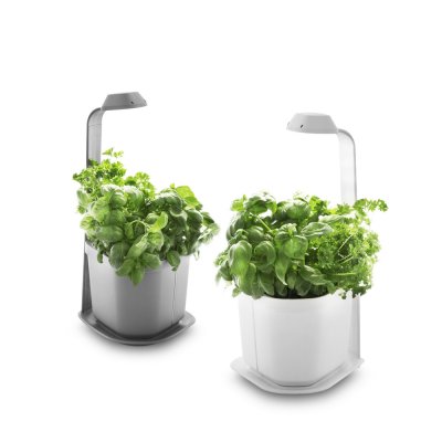 Domáca záhradka Tregren Genie