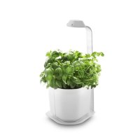 Domáca záhradka Tregren Genie