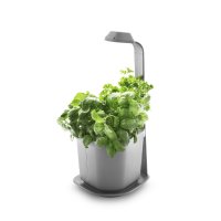 Domáca záhradka Tregren Genie