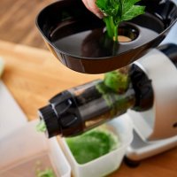 Omega Juicer MM900
