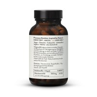 Vitamín B3 Nikotínamid 500 mg (niacín)