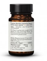 SPERMIDÍN - Extrakt z pšeničných klíčkov 3 mg spermidínu
